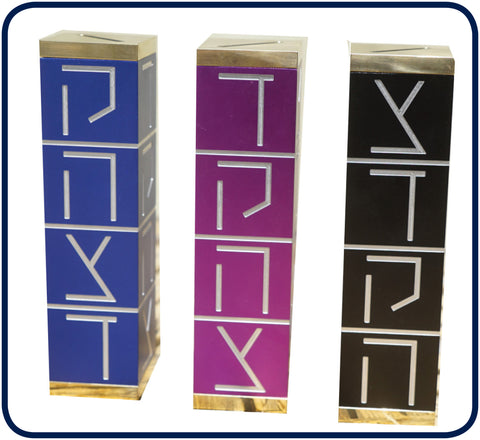 Zelig Segal - "Tzedakah/Charity Box"